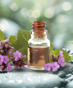 patchouli essential oil and with patchouli plant sprigs showing blossoms and leaves