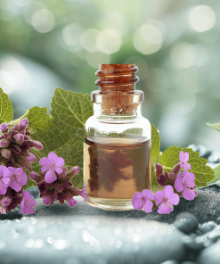 Patchouli Essential Oil (pogostemon cablin)