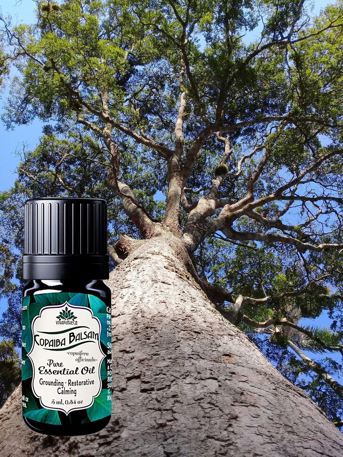 Relaxing copaiba essential oil bottle against tall tree with green leaves and blue sky, Natural plant-based remedies, Wellness and stress relief, Eco-friendly product, Calming aromatherapy, VivaPotheca natural essential oils.
