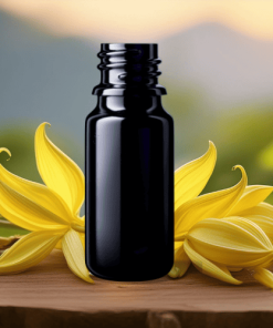 ylang ylang essential oil