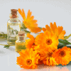 calendula