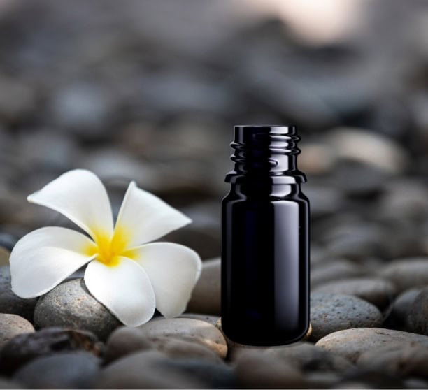 plumeria nag champa flower