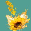 Bright sunflower with golden oil splash and yellow flowers, representing natural herbal supplements and wellness products at VivApotheca.