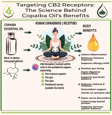 copaiba balsam essential oil benefits.