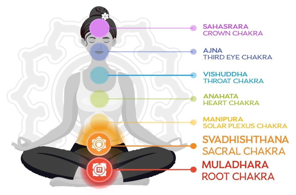 The chakra system and the chakra system.